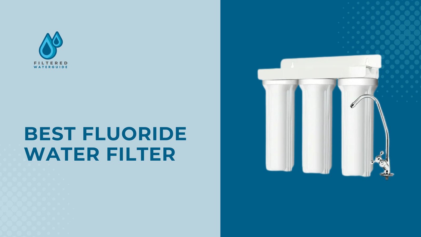 Best Fluoride Filters Revealed featuring Filtered Water Solutions system with modern design and sleek faucet.