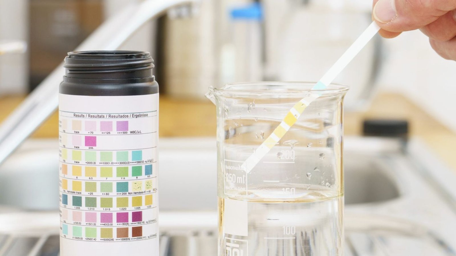 Best water test kits close-up with testing strip, glass beaker, and detailed indicator guide.