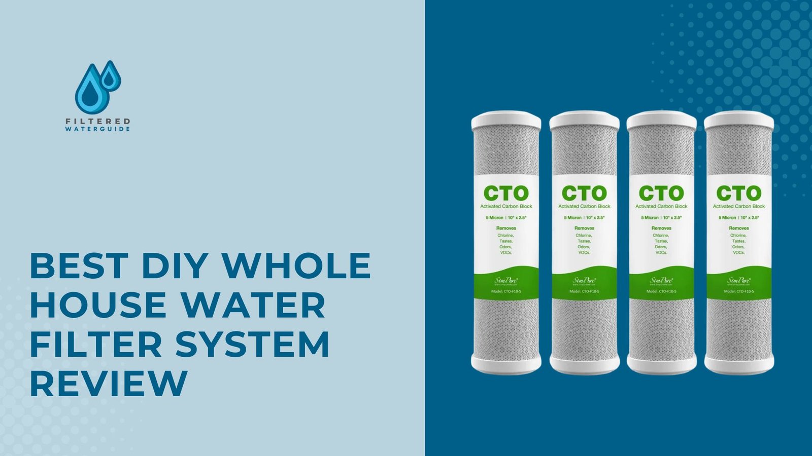 Diy Water Filter Guide featuring Filter Systems logo and four CTO water filter cartridges for whole house use.