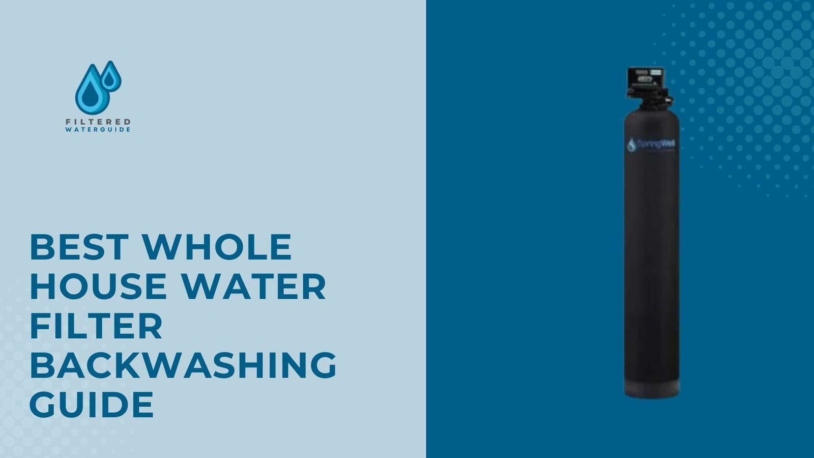 Master water filter backwashing guide featuring sleek black cylindrical filter with control head component.