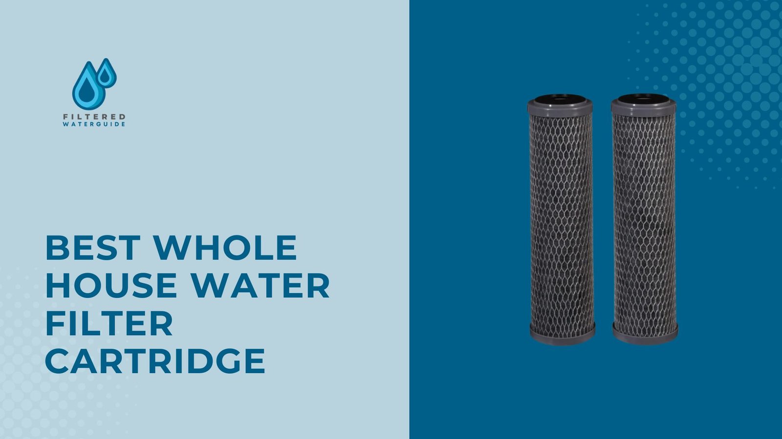 Best water filter cartridges featuring Filtered Water Solutions logo and two premium whole-house filters.