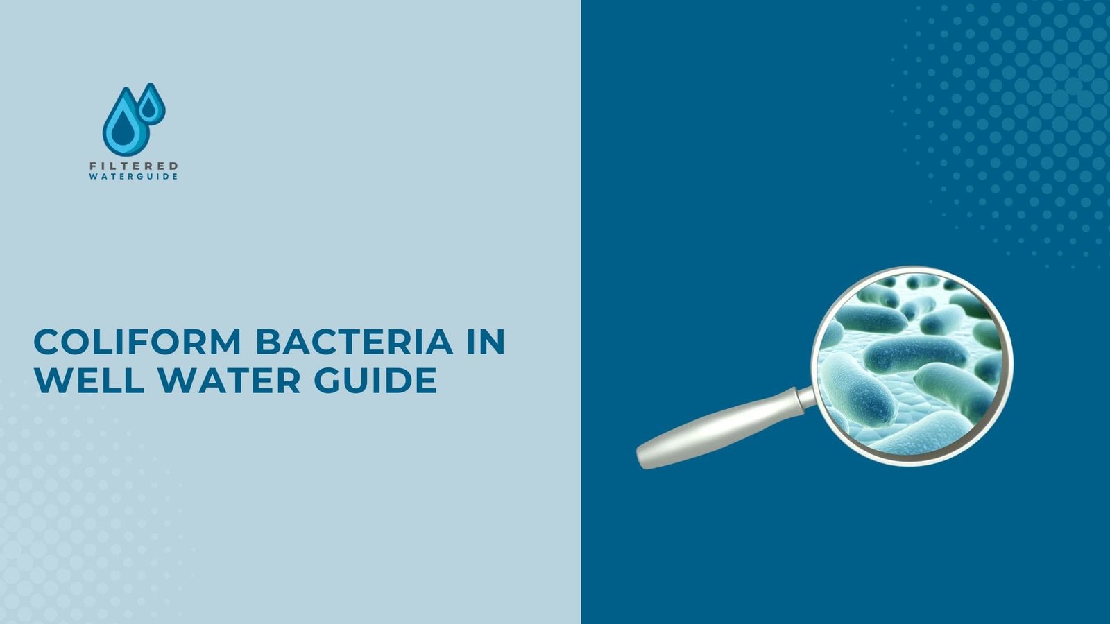 Fix Well Water Bacteria Fast guide showing coliform bacteria magnified alongside water filtration branding for awareness.