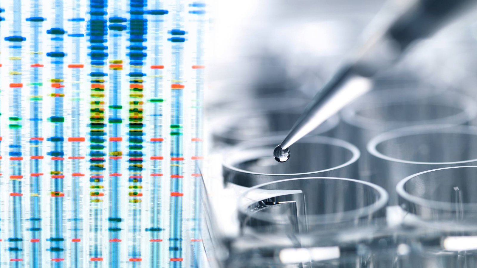 Home water testing split view of DNA sequencing and lab setup with micropipette above microcentrifuge tubes.