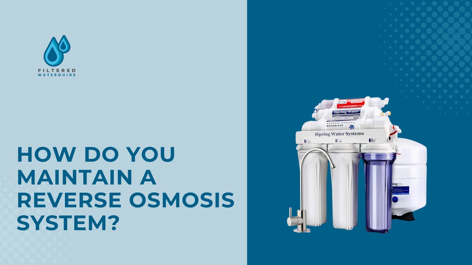 Reverse osmosis bacteria removal guide featuring system maintenance with detailed filters and components illustration.