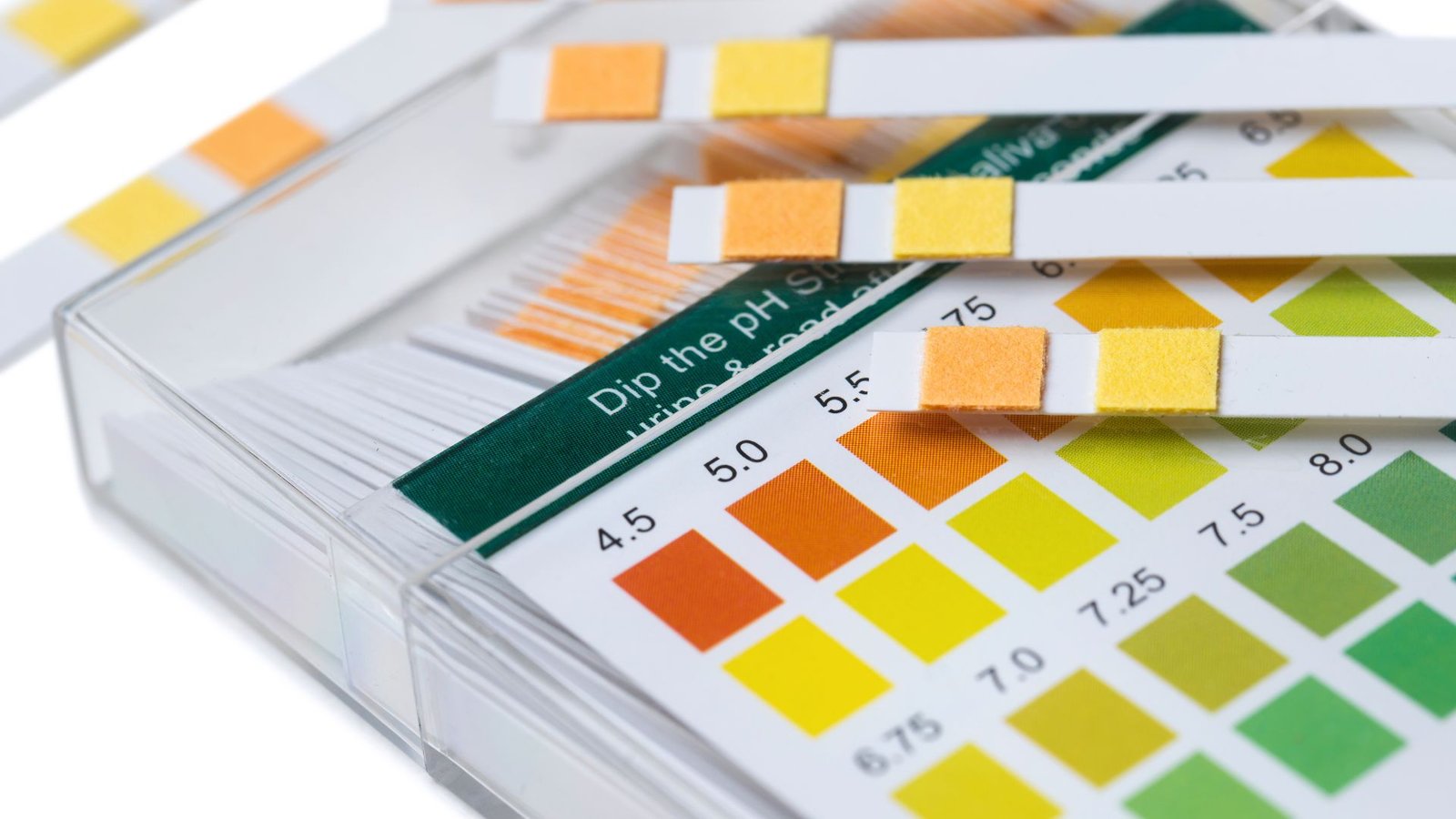 Reverse Osmosis Water pH test strips comparing color changes against pH chart for accurate level determination.