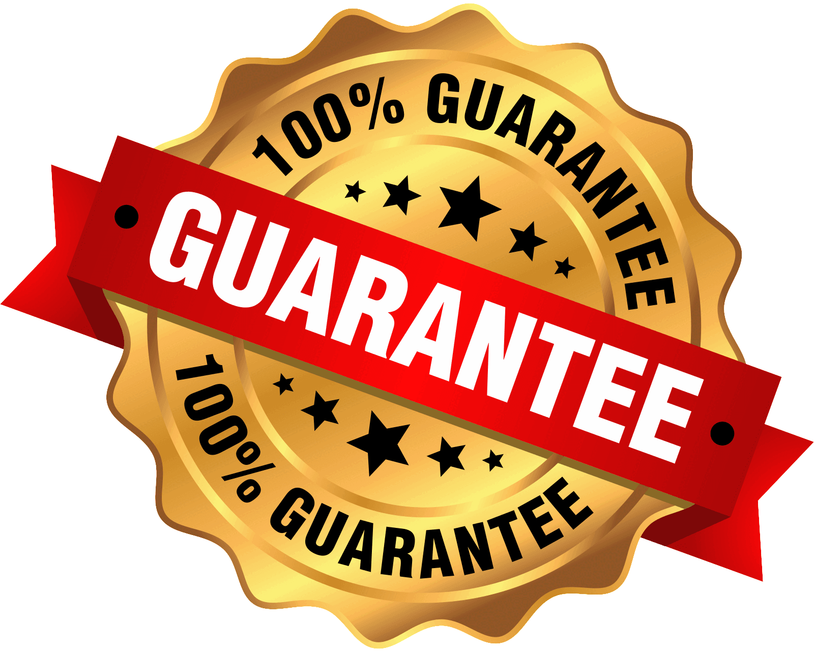 Richmond Tankless Water Heater guarantee seal with 100% assurance in bold letters on gold and red design.