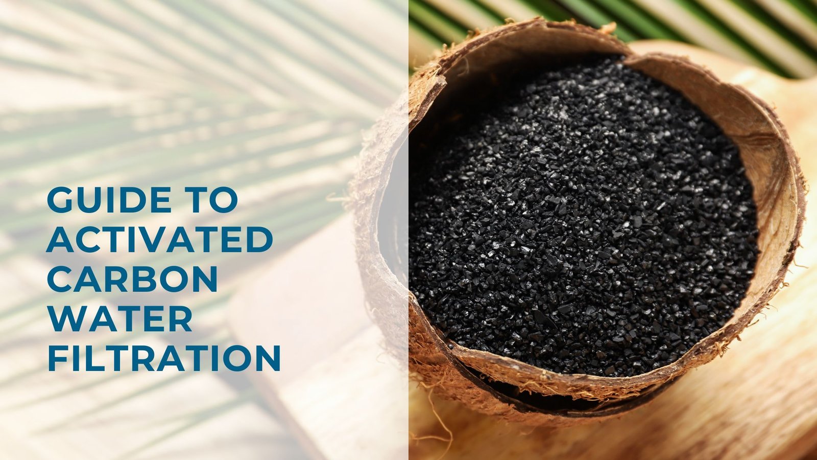 Carbon filters explained: Coconut shell with activated carbon granules, sustainable filtration concept.