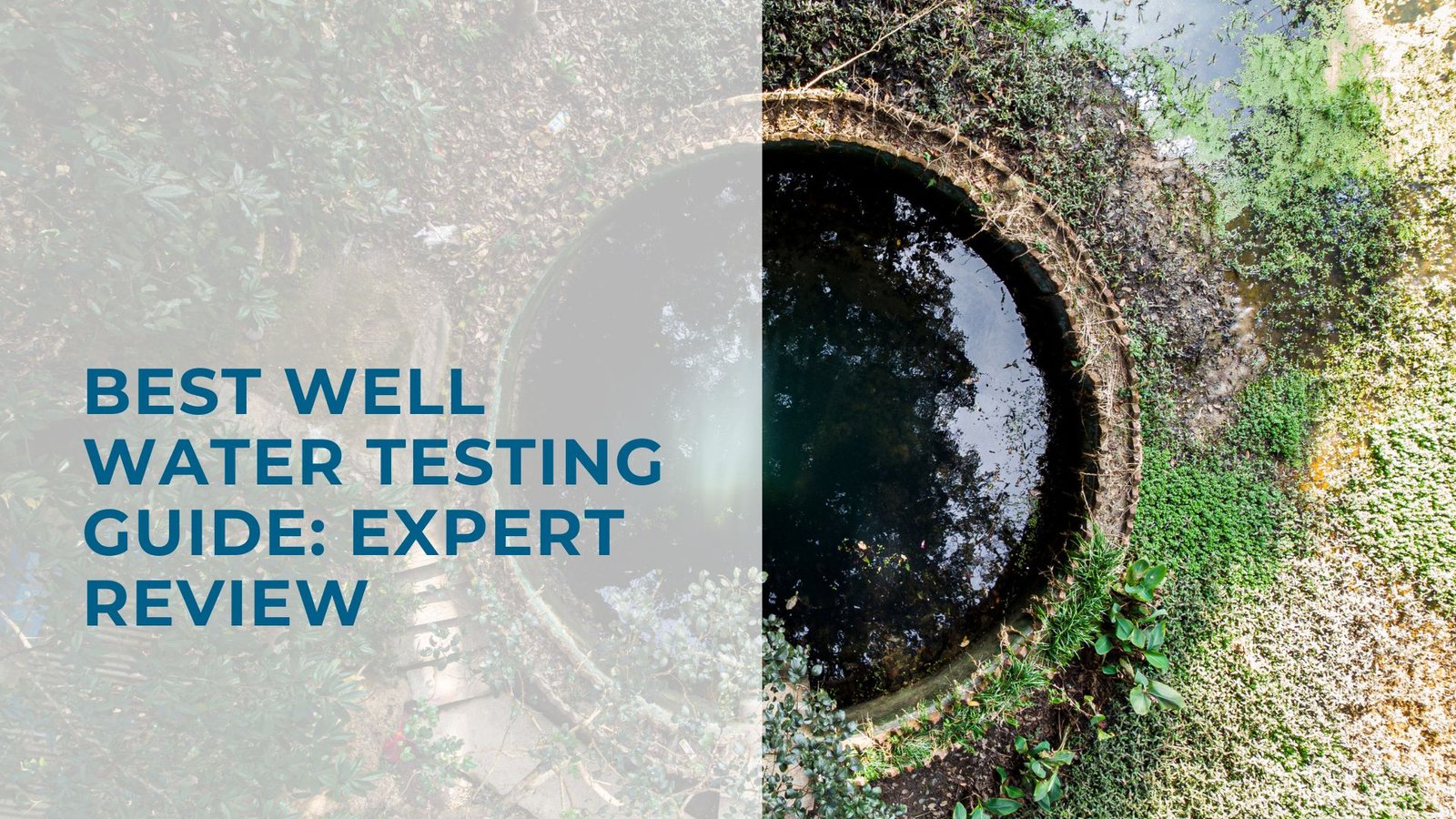 Test well water like experts guide with vintage well, lush greenery, and expert review.