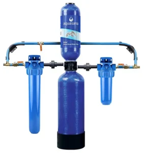 Springwell CF Series whole house water filter with dual canisters, detailed view of blue components.